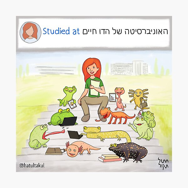 Aperçu de l'œuvre האוניברסיטה של הדו חיים créée et vendue par TheFlatCat.