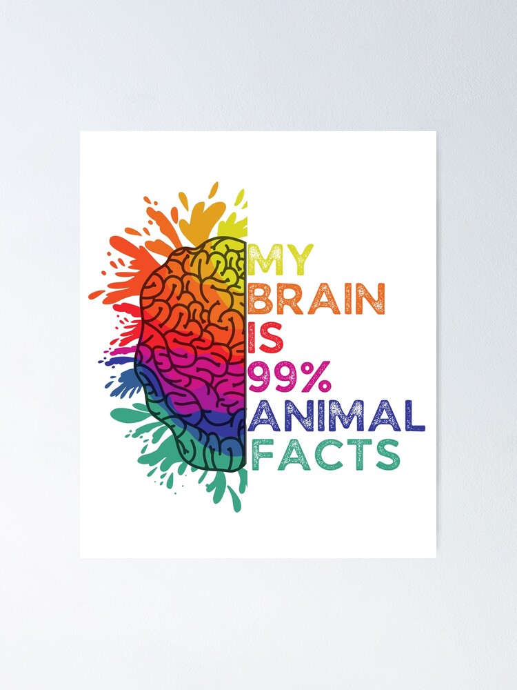 My Brain Is 99% Animal Facts Retro Colorful Gift for Animal Lovers My Brain Is 99% Animal Facts Retro Colorful Gift for Animal Lovers