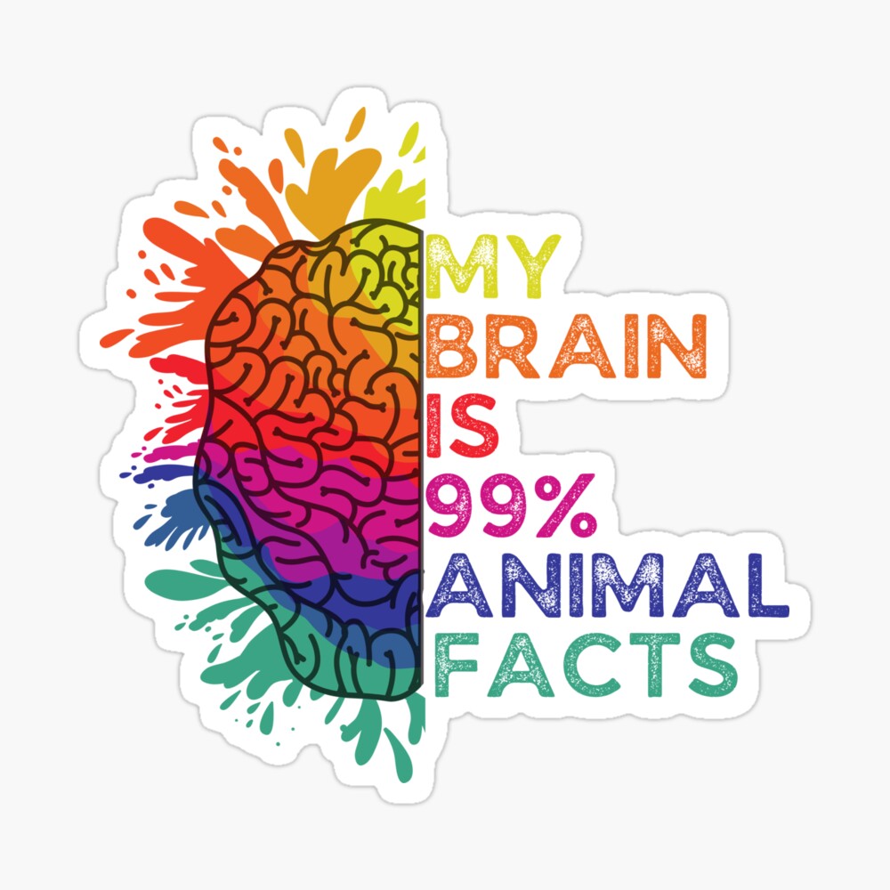 My Brain Is 99% Animal Facts Retro Colorful Gift for Animal Lovers My Brain Is 99% Animal Facts Retro Colorful Gift for Animal Lovers