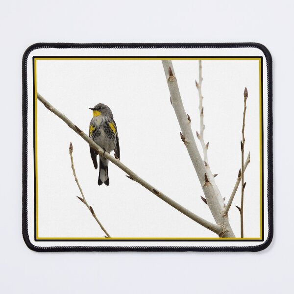 Item preview, Yellow-Rumped Warbler designed and sold by CarolM.