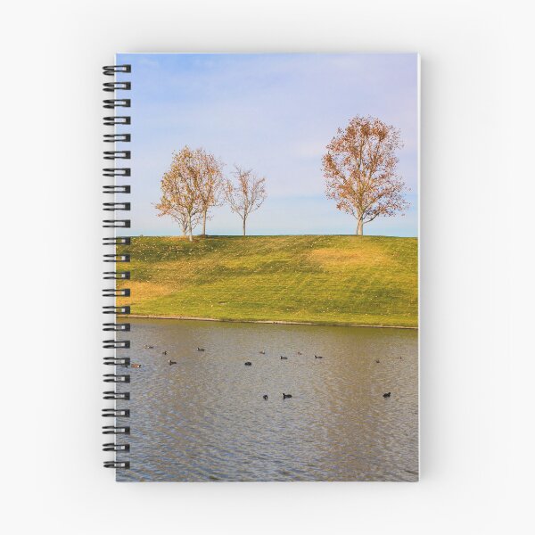 Item preview, A 37 Duck Pond designed and sold by CarolM.