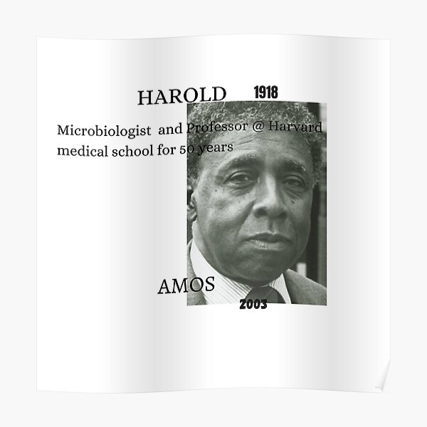 "Harold Amos" Poster by holly890 Redbubble