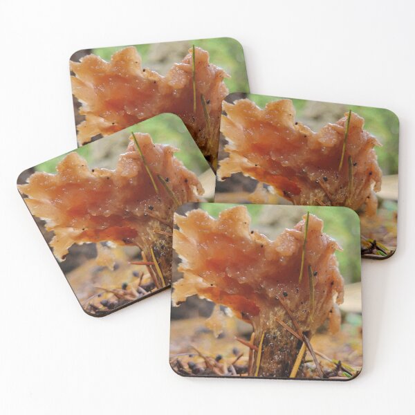 Item preview, Frilled fungus designed and sold by Wizardlordbriar.