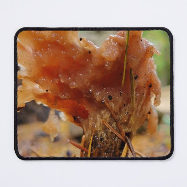 Item preview, Frilled fungus designed and sold by Wizardlordbriar.
