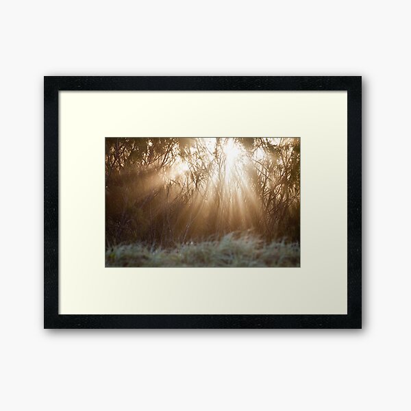 Sunbeam Beach Framed Art Print