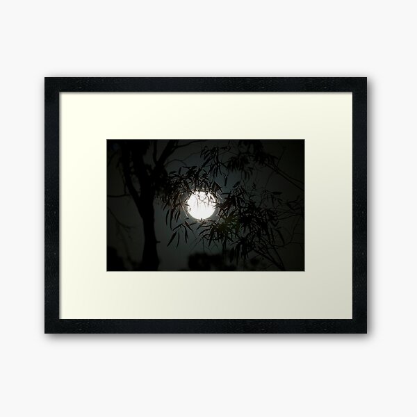 Full Moon Framed Art Print
