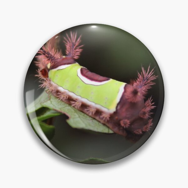 Item preview, Saddleback  designed and sold by cmariek.