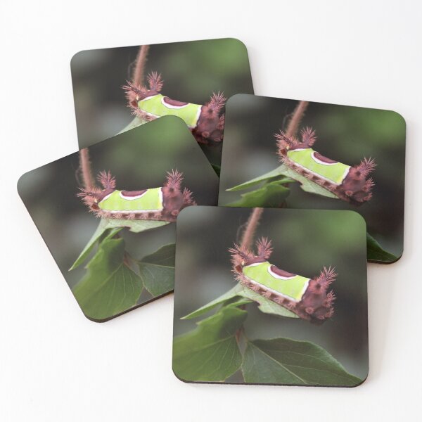Item preview, Saddleback  designed and sold by cmariek.