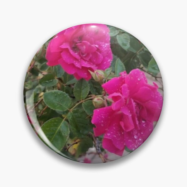 Item preview, Dewdrops on Roses designed and sold by FunSizeMojo.