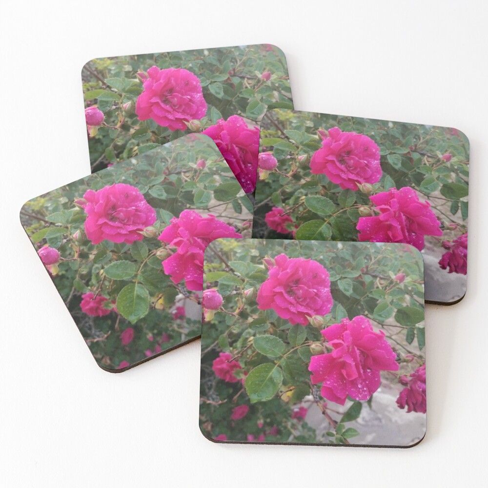 Item preview, Coasters (Set of 4) designed and sold by FunSizeMojo.