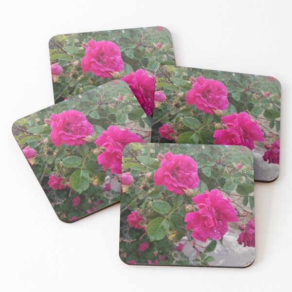 Item preview, Dewdrops on Roses designed and sold by FunSizeMojo.