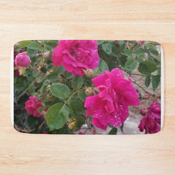 Item preview, Dewdrops on Roses designed and sold by FunSizeMojo.
