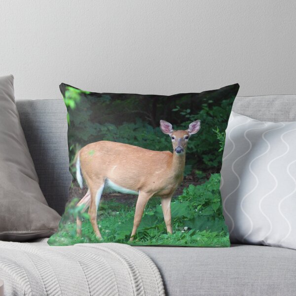 Item preview, Summer Doe  designed and sold by cmariek.
