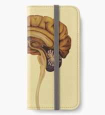 Sagittal Brain iPhone Wallet/Case/Skin