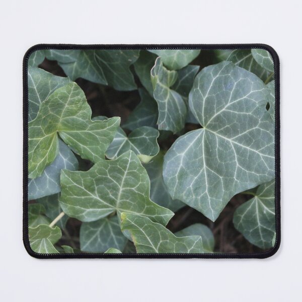 Item preview, Green English Ivy Plant Vine designed and sold by JariHawk.
