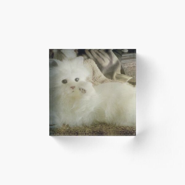Snow Puff...I'm so beautiful... © Acrylic Block