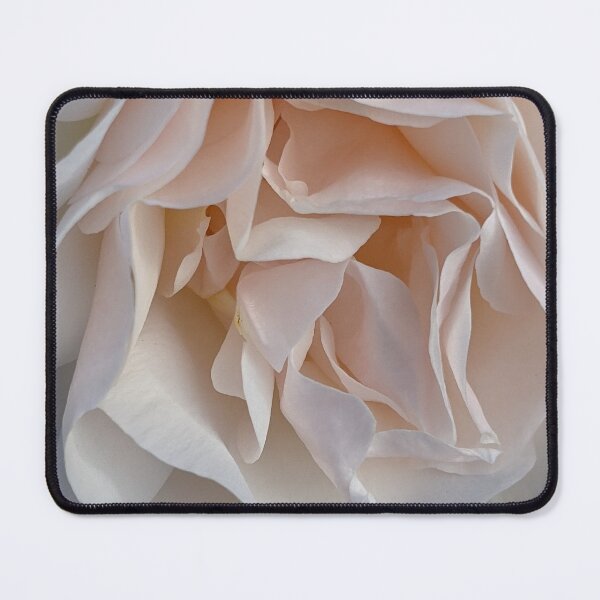 Item preview, Peach Ombre Rose | Flowers Closeups designed and sold by webgrrl.
