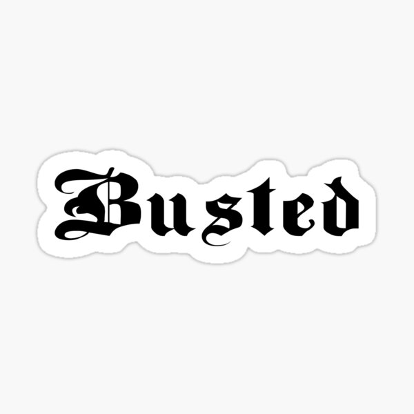 Busted Definition Sticker for Sale by Kweee