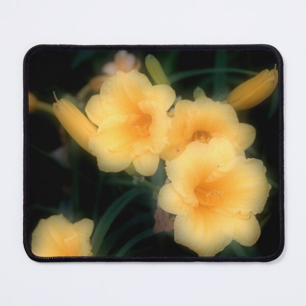 Item preview, Fantasy Glowing Yellow Day Lilies Flowers designed and sold by JariHawk.
