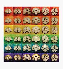The Brain Bow Photographic Print