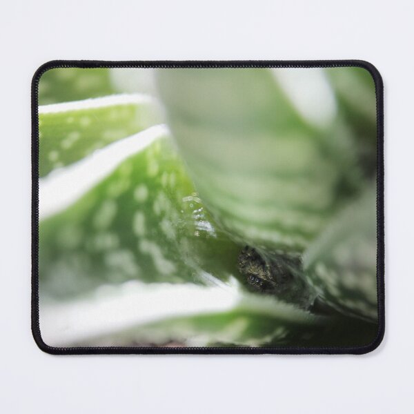 Item preview, Peekaboo designed and sold by cmariek.