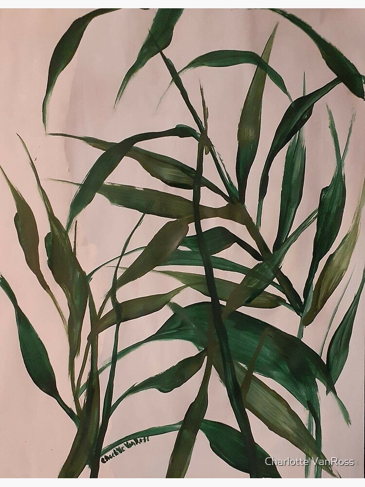 "The 2nd bamboo by charlotte VanRoss " Poster for Sale by Cvanross Redbubble