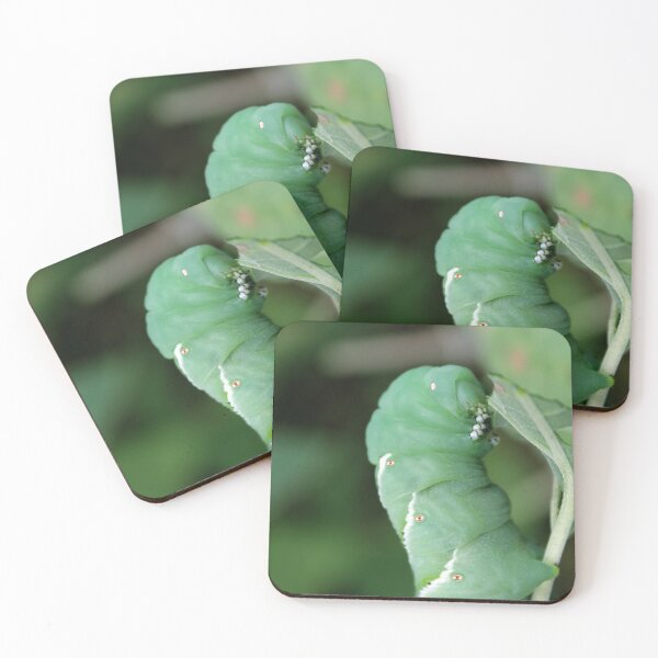 Item preview, Moonflower Munch designed and sold by cmariek.