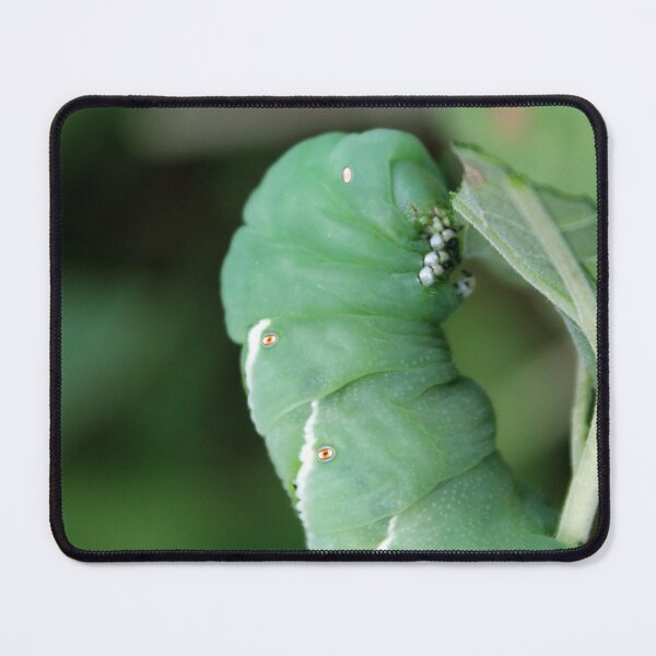 Item preview, Moonflower Munch designed and sold by cmariek.