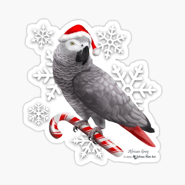 Santa Grey! Sticker