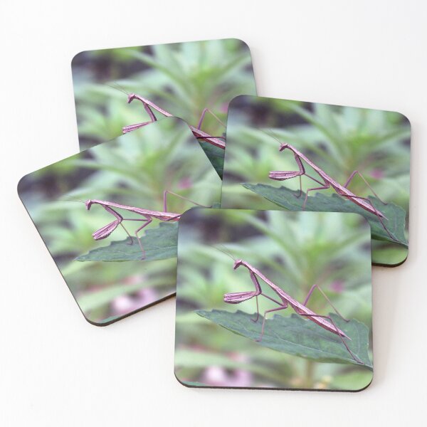 Item preview, Mantis joven designed and sold by cmariek.