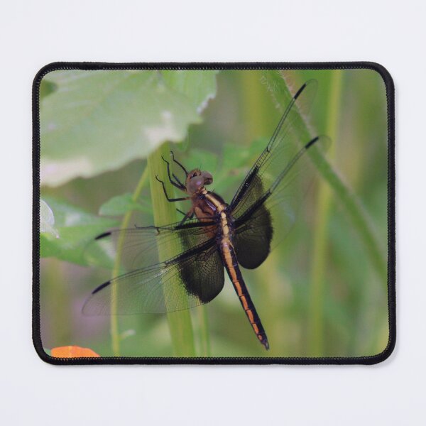 Item preview, Widow Skimmer  designed and sold by cmariek.