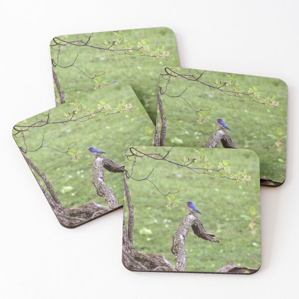 Item preview, Bluebird designed and sold by cmariek.