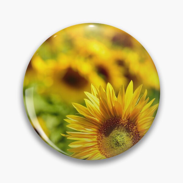 Item preview, Sunflower fields designed and sold by ArtbyBodge.