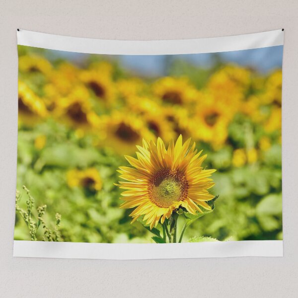Item preview, Sunflower fields designed and sold by ArtbyBodge.