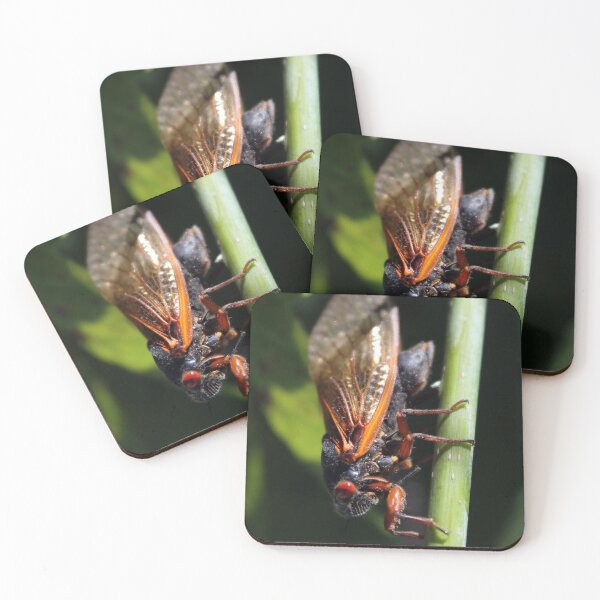 Item preview, Brood X designed and sold by cmariek.