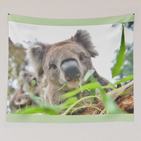 Item preview, Kabba Koala designed and sold by ArtbyBodge.