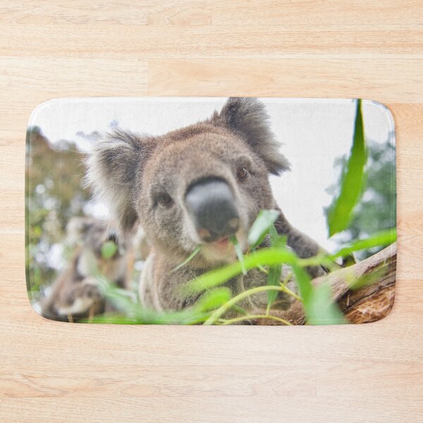 Item preview, Kabba Koala designed and sold by ArtbyBodge.