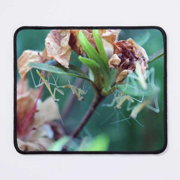 Item preview, Well Now What designed and sold by cmariek.