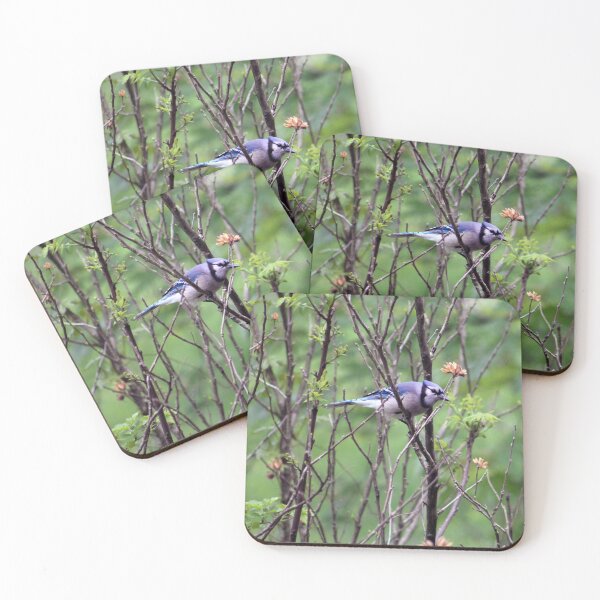 Item preview, Bluejay  designed and sold by cmariek.
