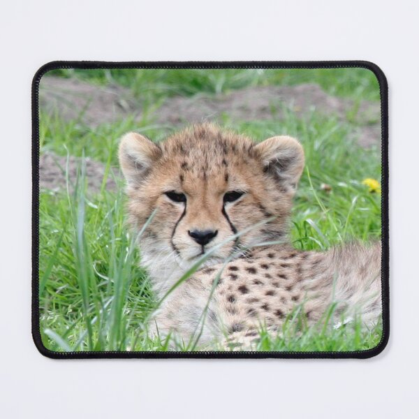 Item preview, Cheetah 011 designed and sold by JAMFoto.