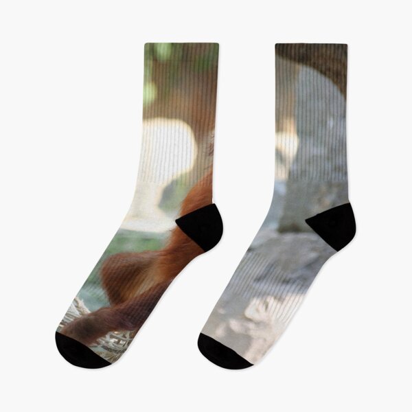 Item preview, OrangUtan20150905 designed and sold by JAMFoto.