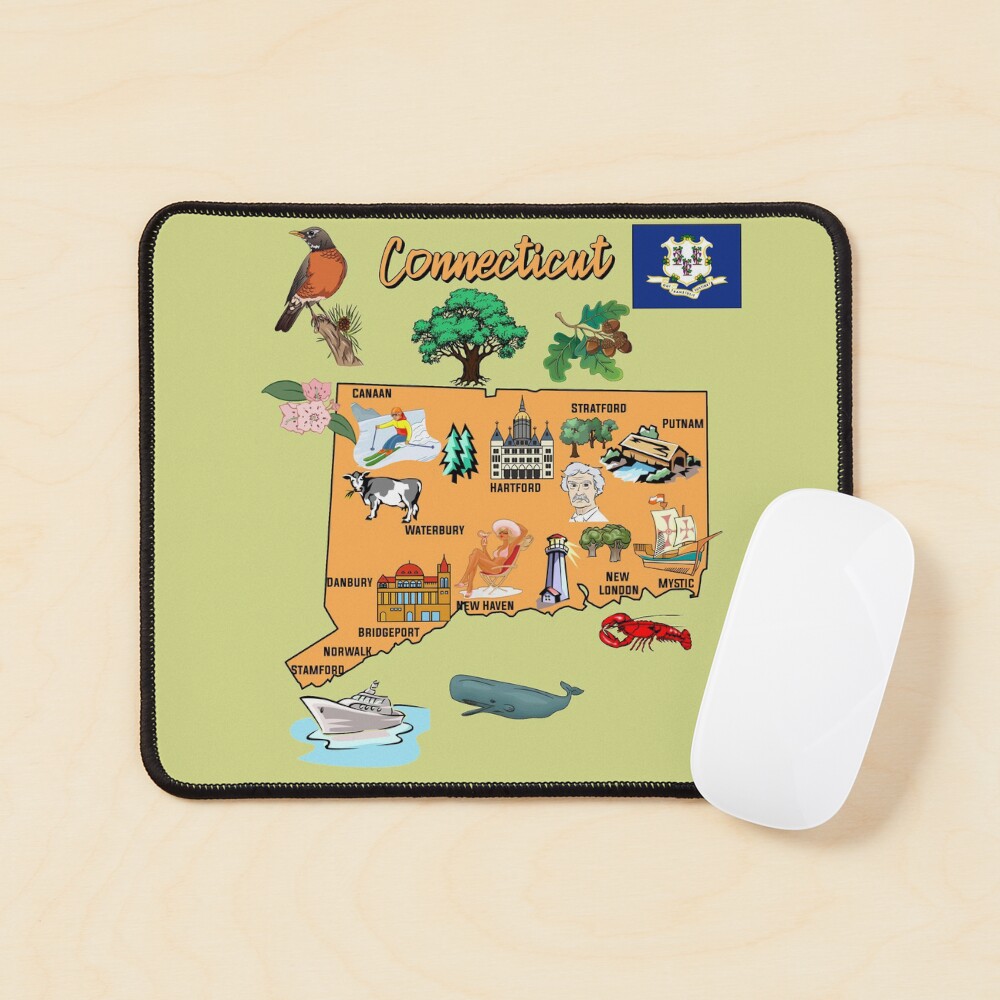 Connecticut State Montage Square Shot Glass