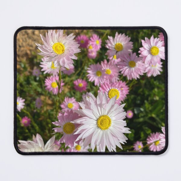 Item preview, everlastings designed and sold by Lanie B Meyer.
