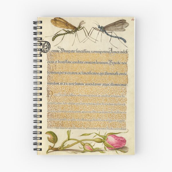 Item preview, Naturalist Manuscript: Flowers, Insect, and Calligraphy Illumination by Joris Hoefnagel designed and sold by Naturalist Prints.