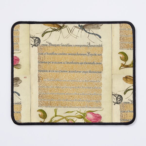 Item preview, Naturalist Manuscript: Flowers, Insect, and Calligraphy Illumination by Joris Hoefnagel designed and sold by Naturalist Prints.
