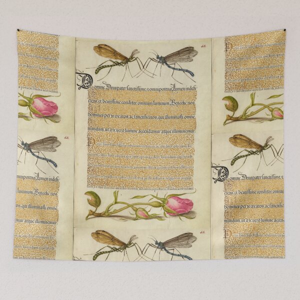 Item preview, Naturalist Manuscript: Flowers, Insect, and Calligraphy Illumination by Joris Hoefnagel designed and sold by Naturalist Prints.