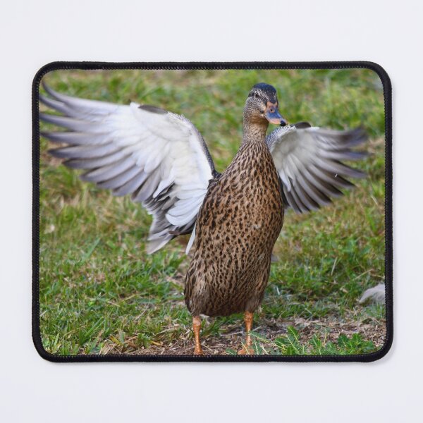 Item preview, One Happy Flapper designed and sold by richardbryce.
