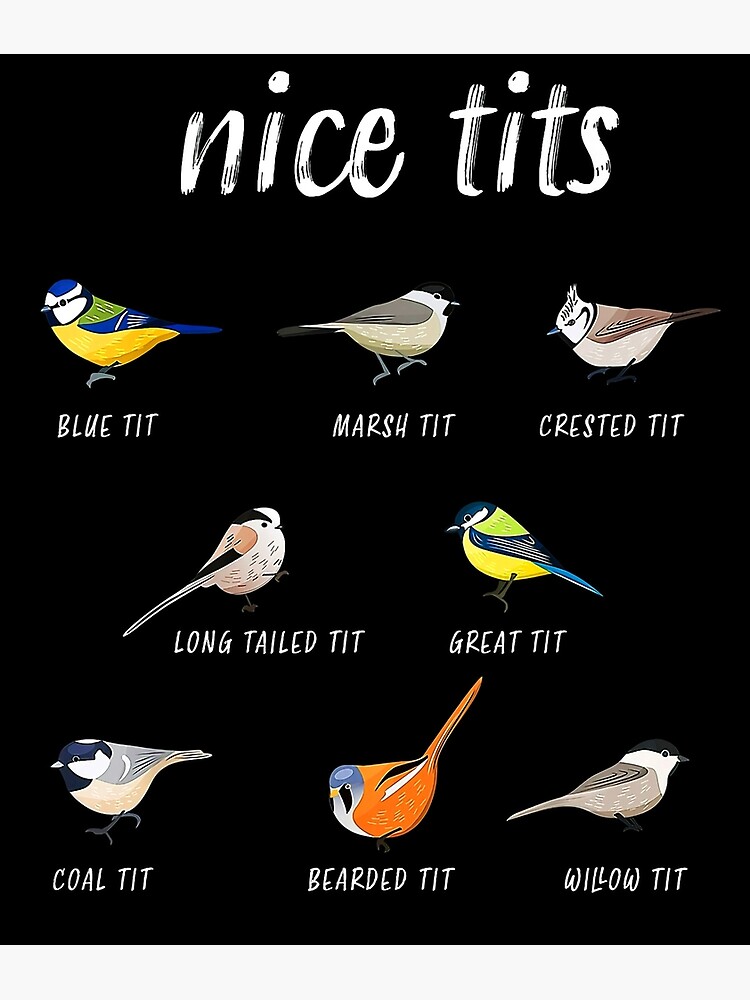 Discover Nice Tits Bird Premium Matte Vertical Poster