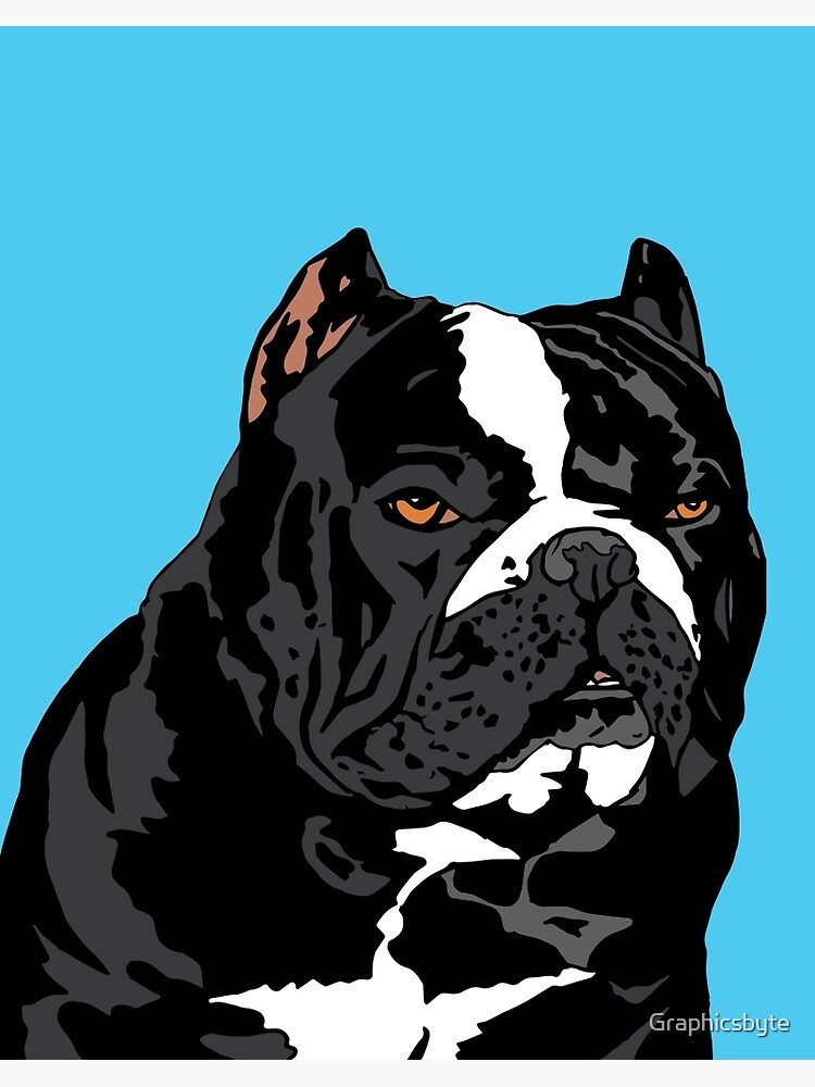 Beasty The American Bully