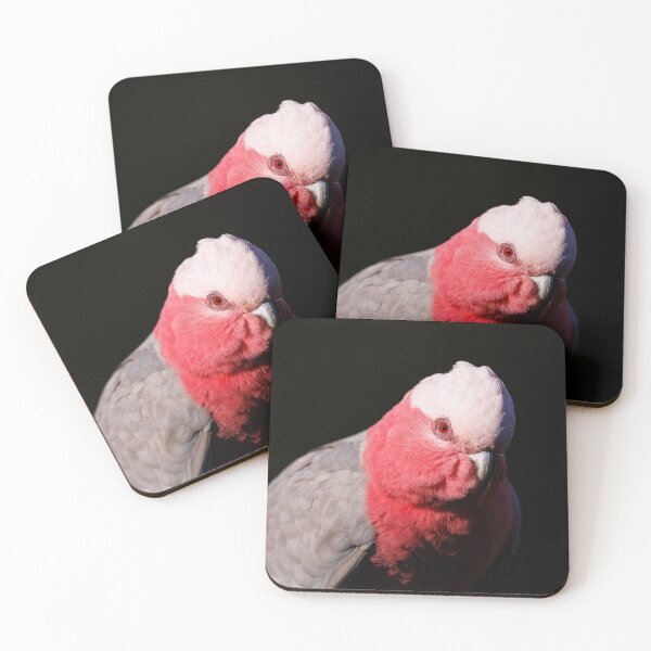 Artikelvorschau, Galah Noir entworfen und verkauft von theleastone.